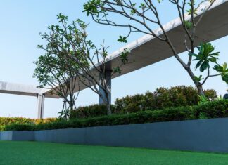 Lacking Greens? Steps On How To Start Your Own Urban Rooftop Garden